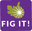 Fig It logo