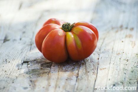 tomatoes,summer